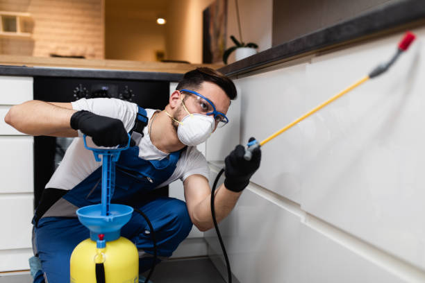 Best Emergency Pest Control  in Southport, CT