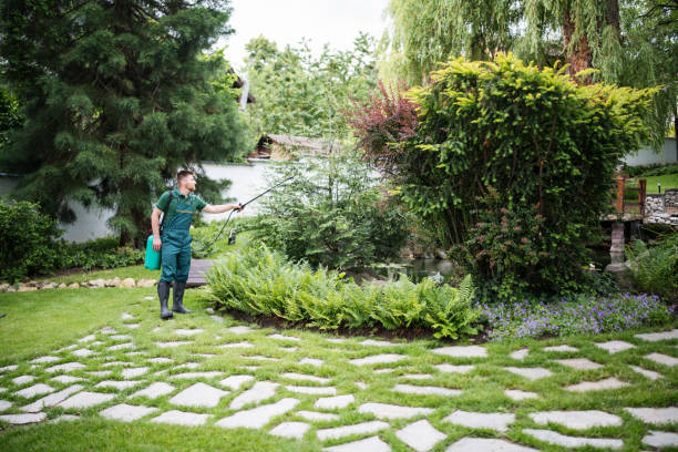 Best Wasp Removal Services  in Southport, CT