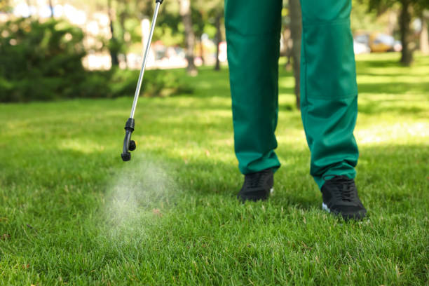 Best Best Pest Control Companies  in Southport, CT