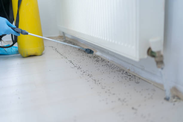 Best Exterminator Services  in Southport, CT